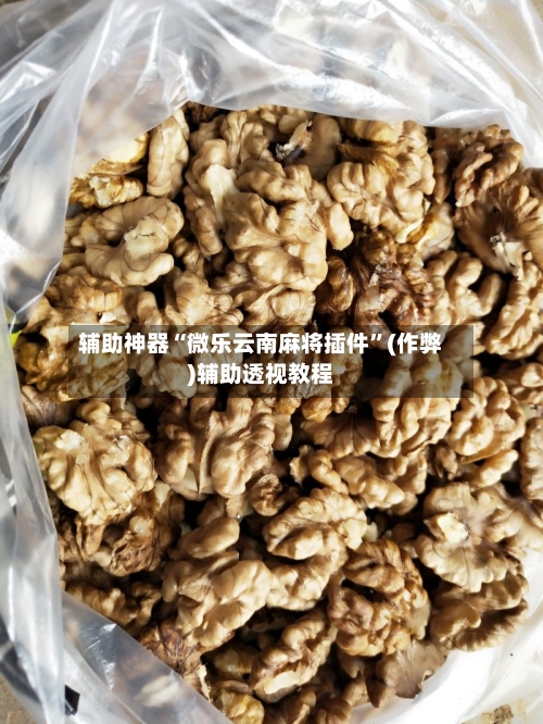 辅助神器“微乐云南麻将插件”(作弊)辅助透视教程-第2张图片