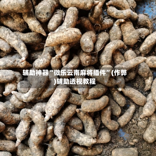 辅助神器“微乐云南麻将插件	”(作弊)辅助透视教程-第3张图片
