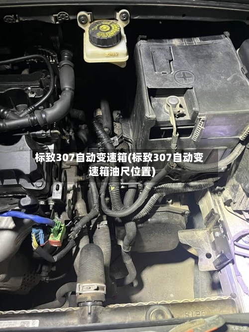 标致307自动变速箱(标致307自动变速箱油尺位置)-第2张图片