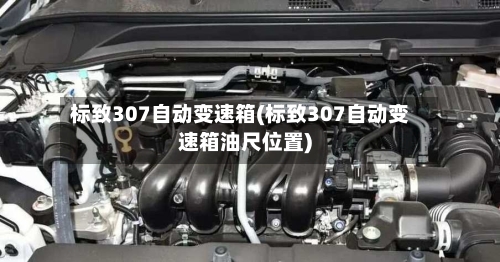 标致307自动变速箱(标致307自动变速箱油尺位置)-第3张图片