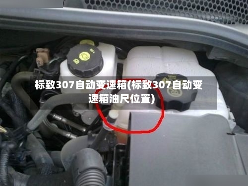 标致307自动变速箱(标致307自动变速箱油尺位置)