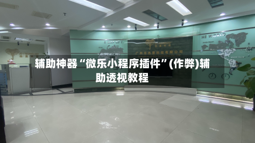 辅助神器“微乐小程序插件”(作弊)辅助透视教程-第2张图片
