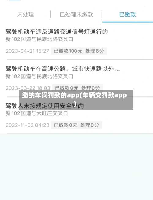 缴纳车辆罚款的app(车辆交罚款app)