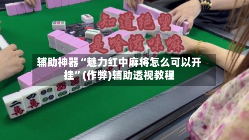 辅助神器“魅力红中麻将怎么可以开挂”(作弊)辅助透视教程-第2张图片