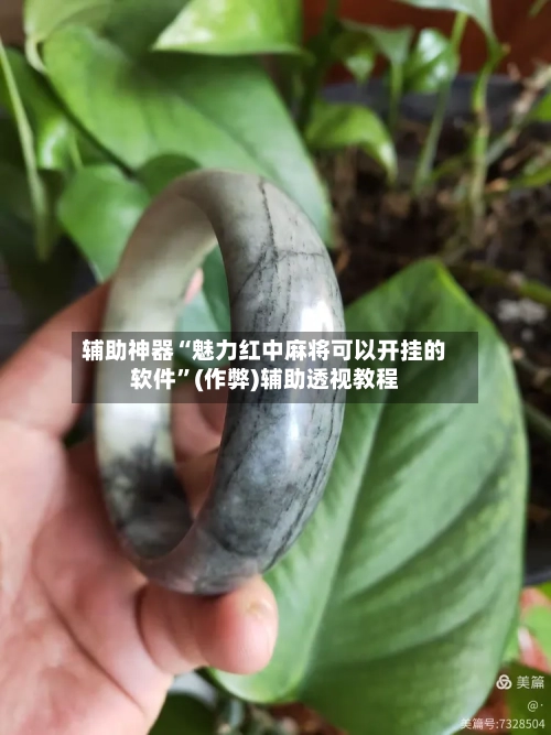 辅助神器“魅力红中麻将可以开挂的软件”(作弊)辅助透视教程