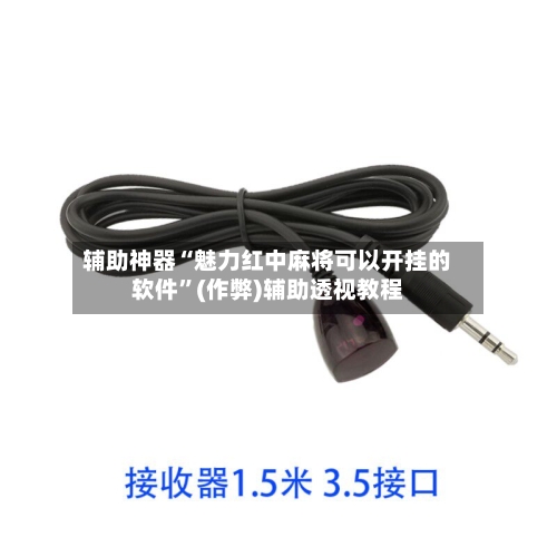 辅助神器“魅力红中麻将可以开挂的软件	”(作弊)辅助透视教程-第3张图片
