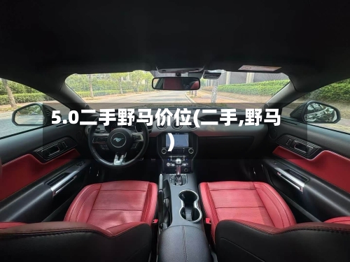 5.0二手野马价位(二手,野马)-第3张图片