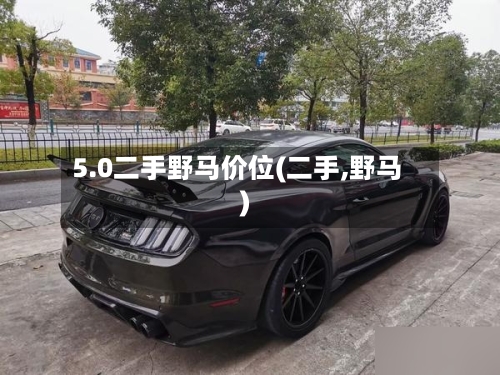 5.0二手野马价位(二手,野马)-第2张图片