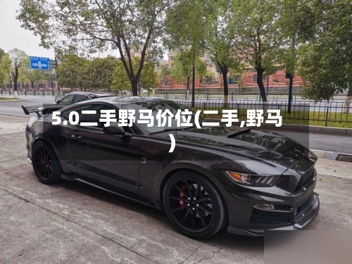 5.0二手野马价位(二手,野马)