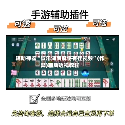 辅助神器“微乐湖南麻将有挂视频”(作弊)辅助透视教程-第3张图片