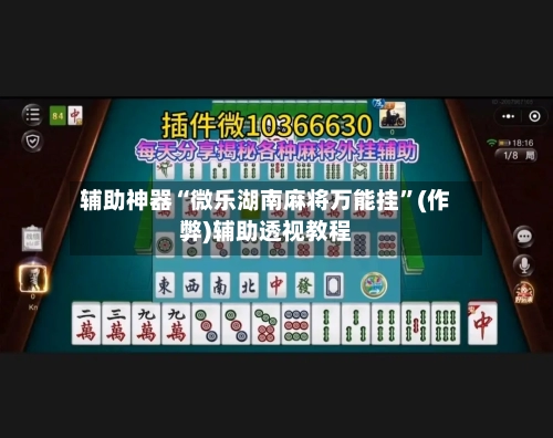 辅助神器“微乐湖南麻将万能挂”(作弊)辅助透视教程-第2张图片