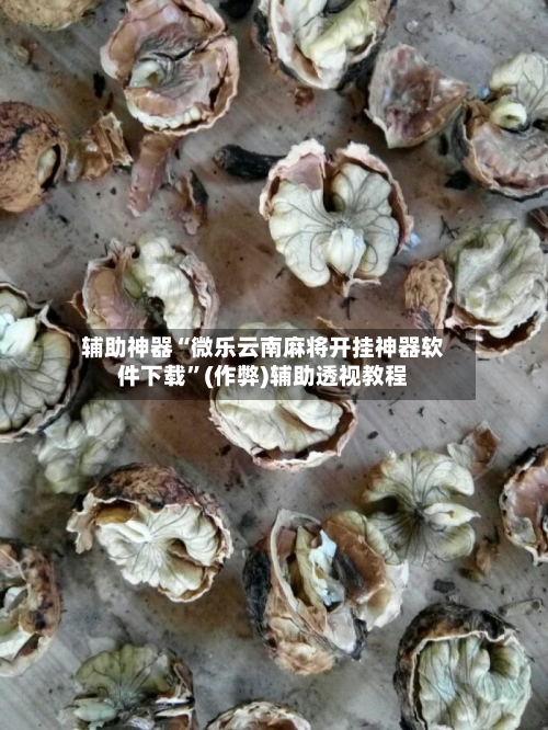 辅助神器“微乐云南麻将开挂神器软件下载”(作弊)辅助透视教程