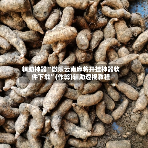 辅助神器“微乐云南麻将开挂神器软件下载”(作弊)辅助透视教程-第2张图片