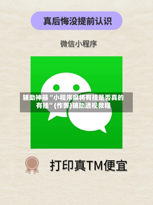 辅助神器“小程序麻将有挂是否真的有挂”(作弊)辅助透视教程-第1张图片
