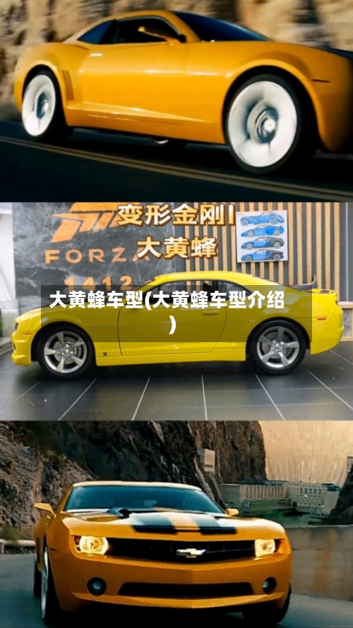 大黄蜂车型(大黄蜂车型介绍)