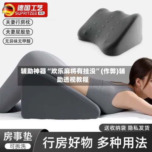 辅助神器“欢乐麻将有挂没”(作弊)辅助透视教程-第2张图片