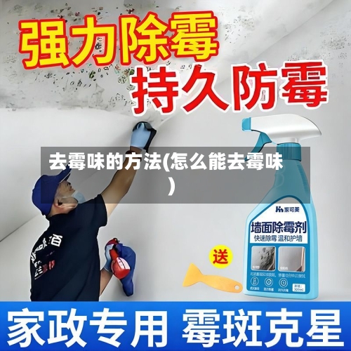去霉味的方法(怎么能去霉味)