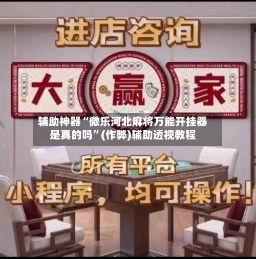 辅助神器“微乐河北麻将万能开挂器是真的吗”(作弊)辅助透视教程-第3张图片