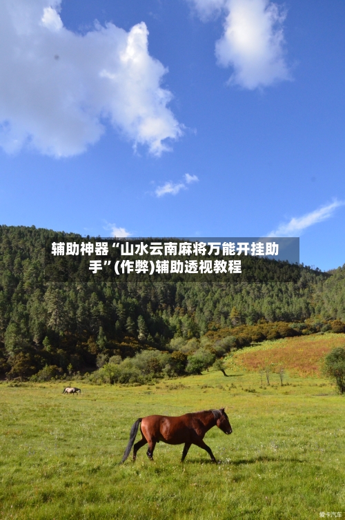 辅助神器“山水云南麻将万能开挂助手”(作弊)辅助透视教程