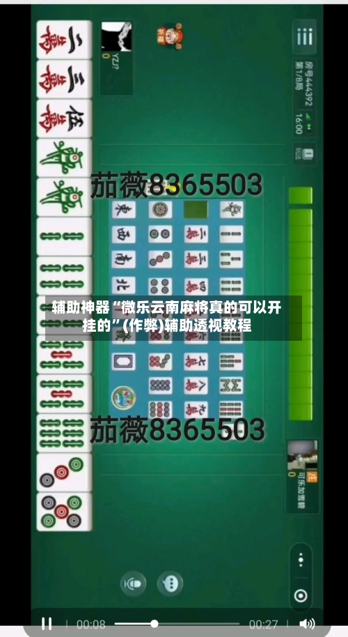 辅助神器“微乐云南麻将真的可以开挂的	”(作弊)辅助透视教程-第3张图片