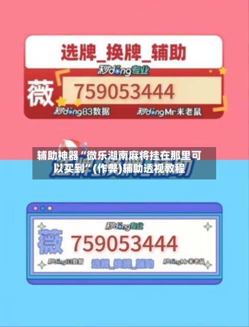 辅助神器“微乐湖南麻将挂在那里可以买到”(作弊)辅助透视教程