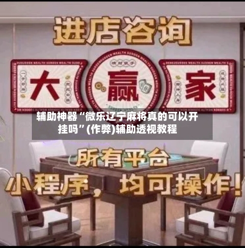 辅助神器“微乐辽宁麻将真的可以开挂吗”(作弊)辅助透视教程-第2张图片