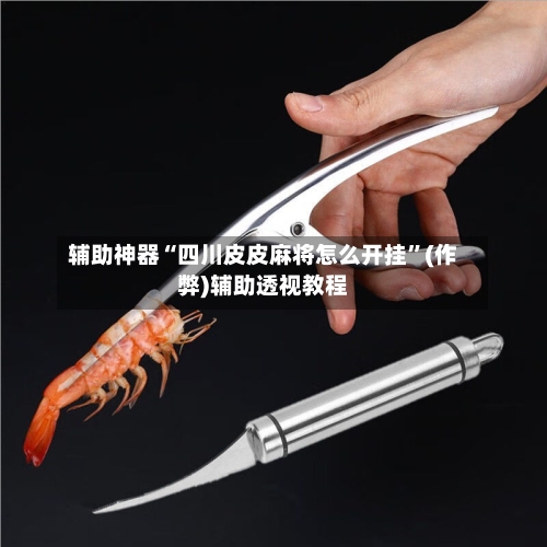 辅助神器“四川皮皮麻将怎么开挂”(作弊)辅助透视教程-第2张图片