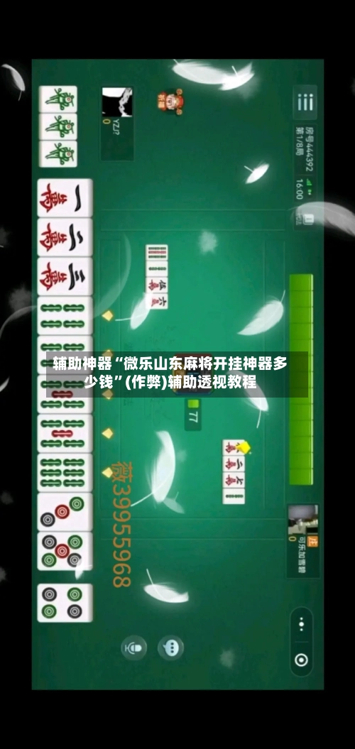 辅助神器“微乐山东麻将开挂神器多少钱”(作弊)辅助透视教程-第3张图片