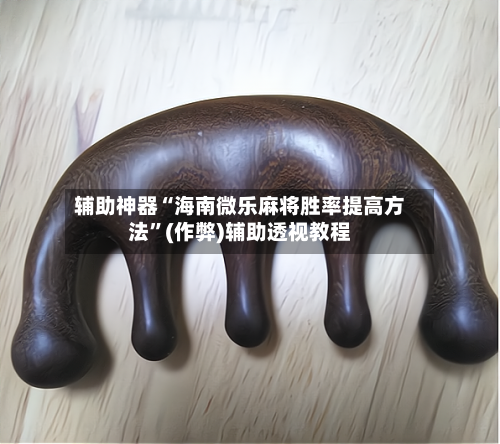 辅助神器“海南微乐麻将胜率提高方法”(作弊)辅助透视教程-第2张图片