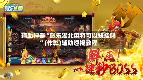 辅助神器“微乐湖北麻将可以装挂吗”(作弊)辅助透视教程-第3张图片