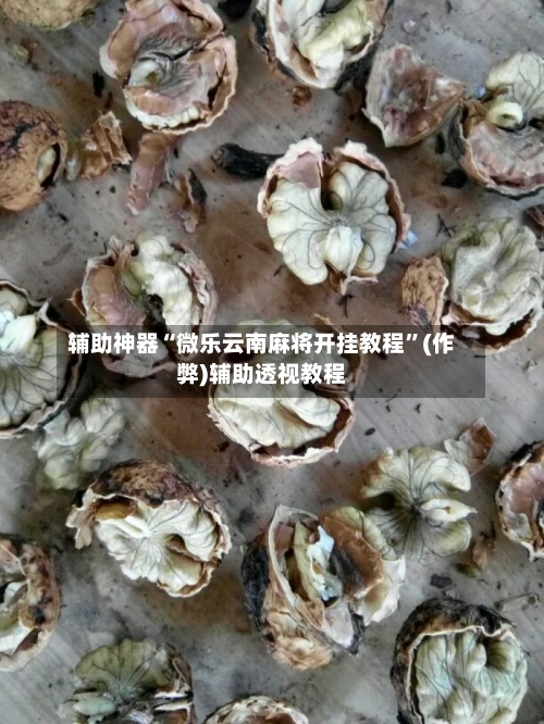辅助神器“微乐云南麻将开挂教程”(作弊)辅助透视教程