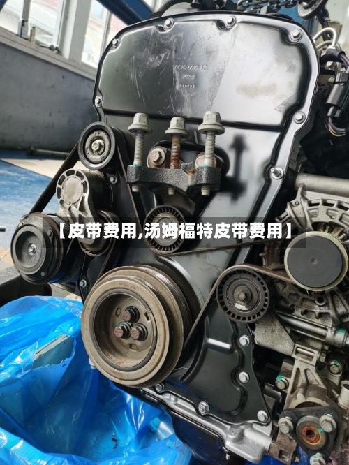 【皮带费用,汤姆福特皮带费用】
