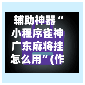 辅助神器“小程序雀神广东麻将挂怎么用”(作弊)辅助透视教程-第2张图片