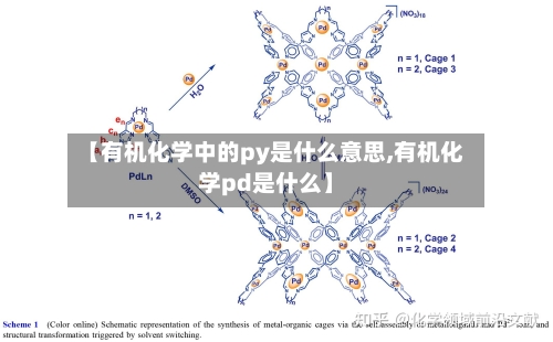 【有机化学中的py是什么意思,有机化学pd是什么】