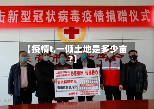 【疫情t,一倾土地是多少亩?】-第2张图片