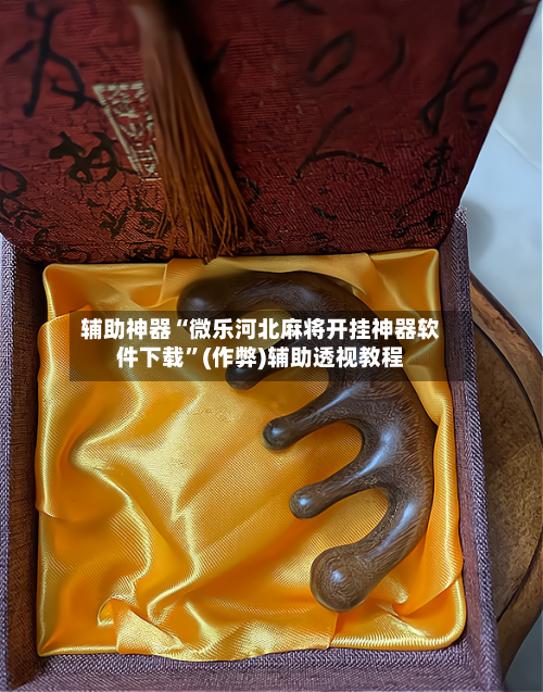 辅助神器“微乐河北麻将开挂神器软件下载”(作弊)辅助透视教程