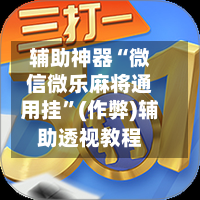 辅助神器“微信微乐麻将通用挂	”(作弊)辅助透视教程-第3张图片