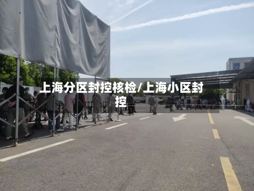 上海分区封控核检/上海小区封控