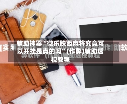 辅助神器“微乐陕西麻将究竟可以开挂是真的吗”(作弊)辅助透视教程