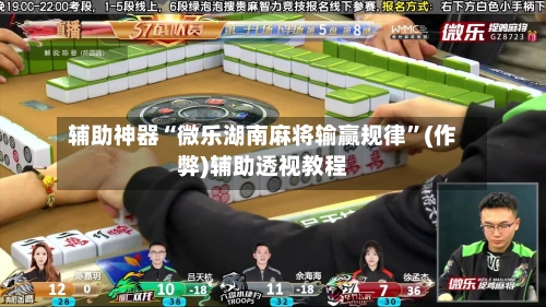辅助神器“微乐湖南麻将输赢规律”(作弊)辅助透视教程-第2张图片
