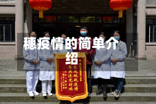 穗疫情的简单介绍