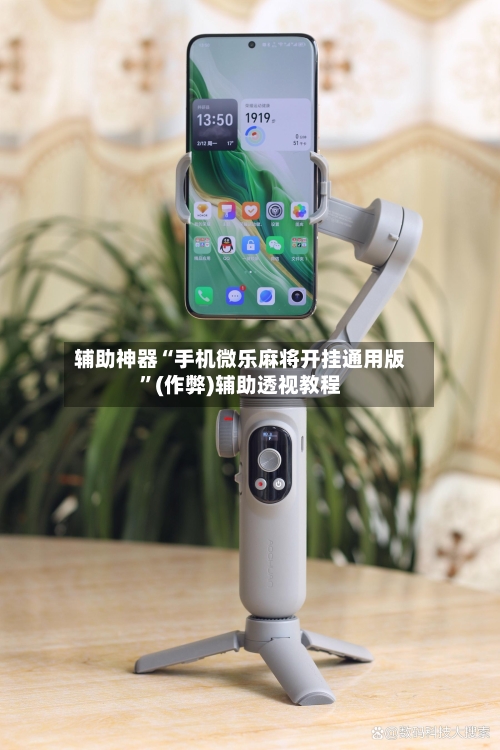 辅助神器“手机微乐麻将开挂通用版”(作弊)辅助透视教程-第3张图片