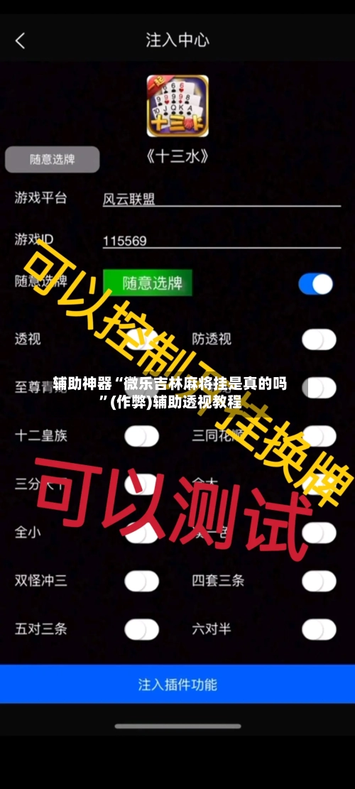 辅助神器“微乐吉林麻将挂是真的吗	”(作弊)辅助透视教程-第2张图片