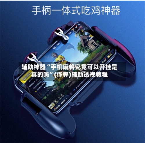 辅助神器“手机麻将究竟可以开挂是真的吗”(作弊)辅助透视教程-第2张图片