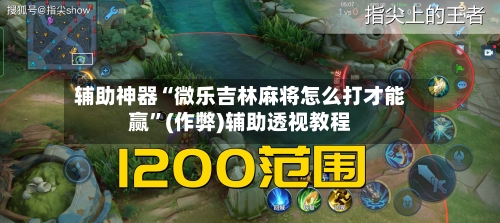 辅助神器“微乐吉林麻将怎么打才能赢”(作弊)辅助透视教程-第2张图片