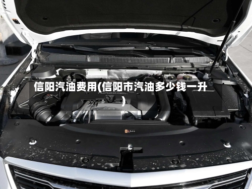 信阳汽油费用(信阳市汽油多少钱一升)-第2张图片