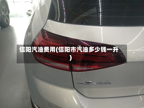 信阳汽油费用(信阳市汽油多少钱一升)
