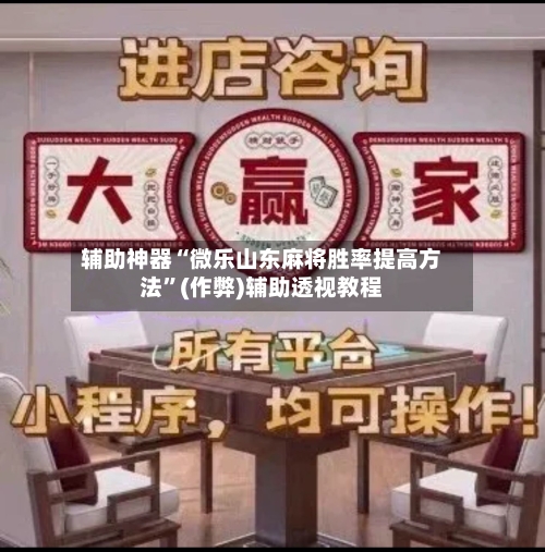 辅助神器“微乐山东麻将胜率提高方法”(作弊)辅助透视教程-第2张图片