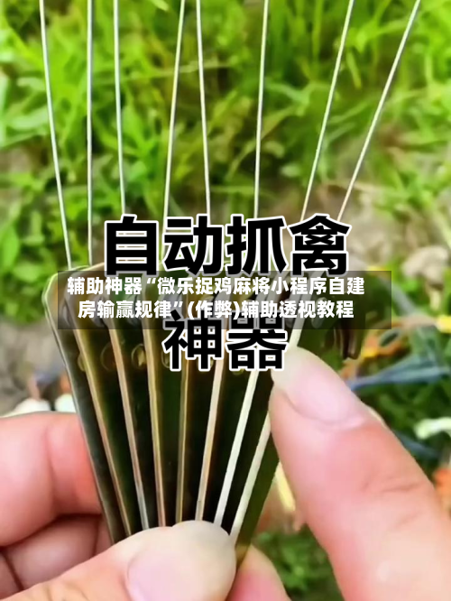辅助神器“微乐捉鸡麻将小程序自建房输赢规律”(作弊)辅助透视教程