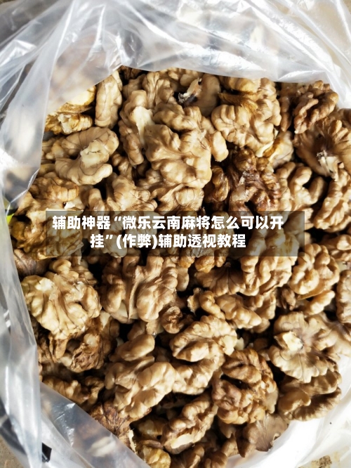 辅助神器“微乐云南麻将怎么可以开挂”(作弊)辅助透视教程-第2张图片